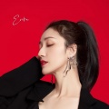 陈嬛 - Criminal