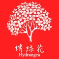 绣球花小合唱团 - 我要唱出自己的音符
