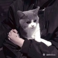 温暖