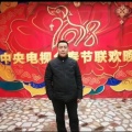 张安平