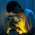 挽