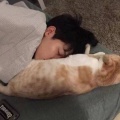小筏