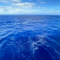 海阔天堂