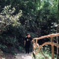 天倚 - 不如回家喝自来水 (29秒Live片段)