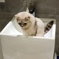 浔梦