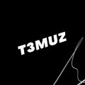 T3muz、PoyloK、Dirk、Vudke
