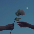 不会错过