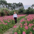 陈志胜