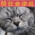 小vie