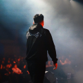 华云龙KLE、M.O.K.