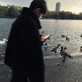 小智耶