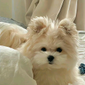 BEIYU