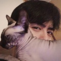 Mr.大白