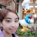 陆晨洁Elsie