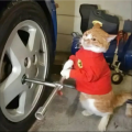 我不叫富贵儿