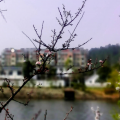 温馨