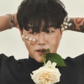 비버