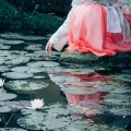 风绕落花愁 - 消夏记
