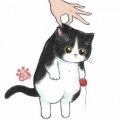 蒜扮~~、泠然LR