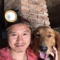 阳火