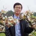 包尔乐