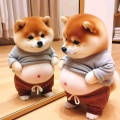 放风的使者