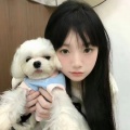 画之灵