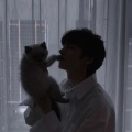 橘酸