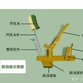 王彦军