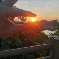 一束花