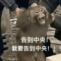 庄杰、庄杰琼