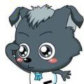 小灰灰