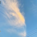 曾威航、Jordam