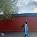 莫渊