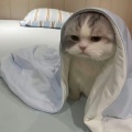 我承认喜欢她