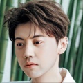 小小若梦