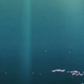 王晓芳