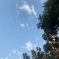 杨文浩