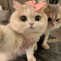 坤不悦