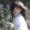 鹤烟 - 病玫瑰