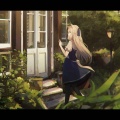 橘子海