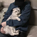 怎么脸红了