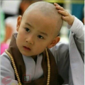 翟大小