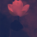 北街