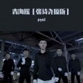 pyai - 青海摇 (27秒DJ版片段)