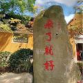 星617614