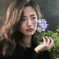 Aria_茜茜、陈大远、末九notikyuu