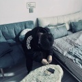 忘不掉¹、苏乐乐