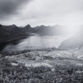 Nature Recordings、Nature Sound Collection、Sounds Of Nature
