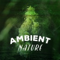 Nature Sounds for Concentration、Binaural Beats Brain Waves Isochronic Tones Brain Wave Entertainment、Sonidos de la Naturaleza